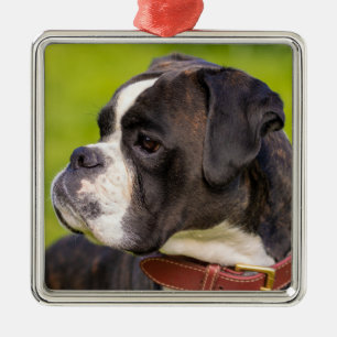 Brindle Boxer Puppy Dog Ornament Aus Metall