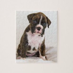 Brindle Boxer-Welpen-Puzzlespiel Puzzle