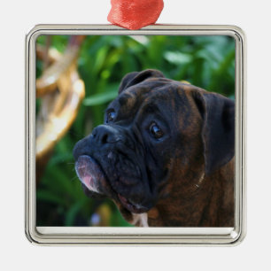Brindle Boxerhundeverzierung Ornament Aus Metall