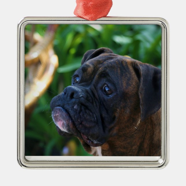 Brindle Boxerhundeverzierung Ornament Aus Metall (Vorne)