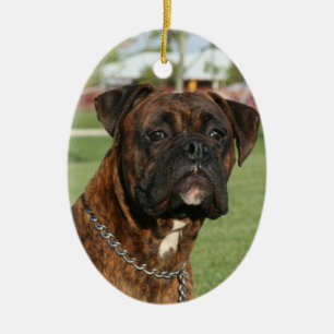 Brindle Boxerverzierung Keramikornament