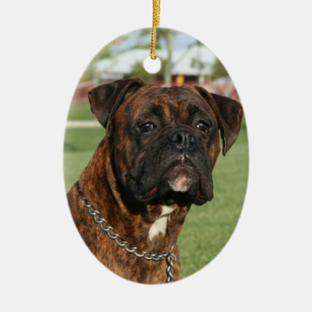 Brindle Boxerverzierung Keramikornament (Vorne)