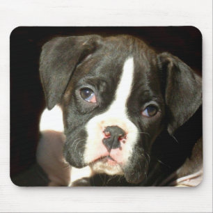 Brindle Boxerwelpe mousepad