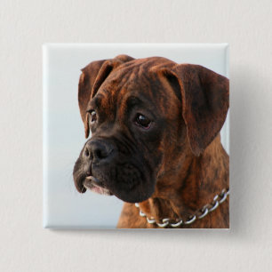 Brindle Boxerwelpenknopf Button