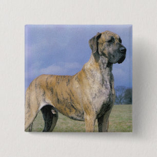 Brindle Doggeknopf Button