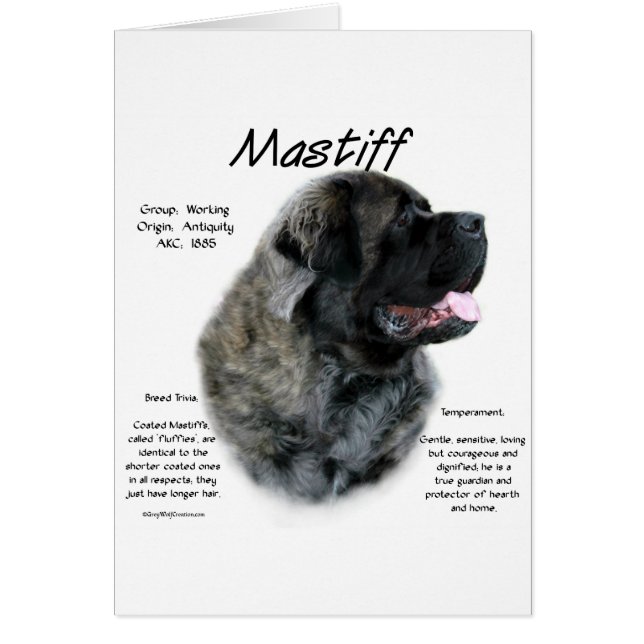Brindle Fluffy Mastiff History (Vorne)