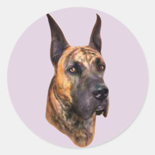 Brindle Great Dane Bust Runder Aufkleber