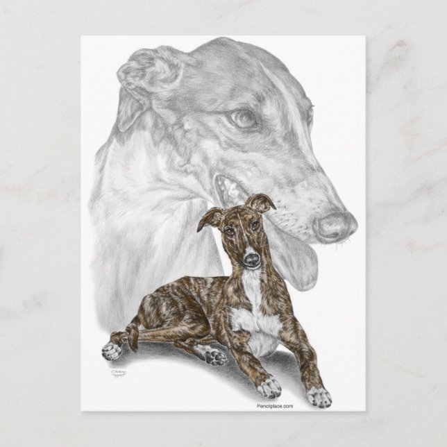 Brindle Greyhound Dog Art Postkarte (Vorderseite)