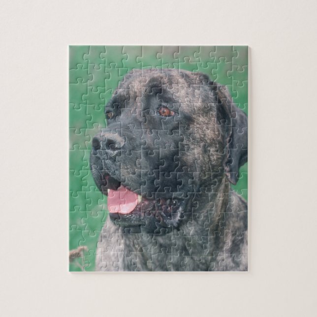 Brindle Masstiff Hundepuzzlespiel Puzzle (Vertikal)