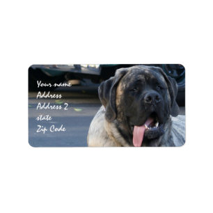 Brindle Mastiff Dog Adressaufkleber