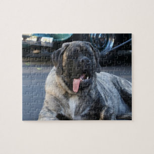 Brindle Mastiff Dog Puzzle