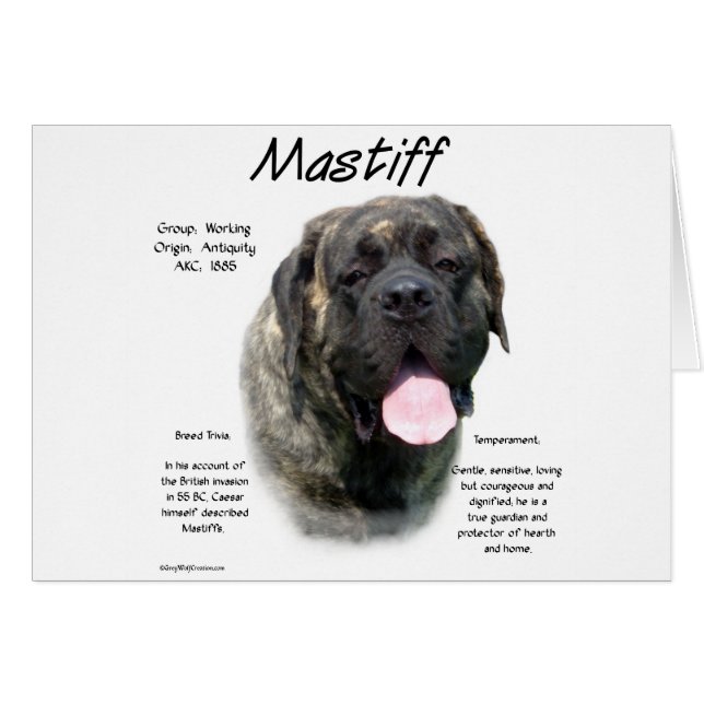Brindle Mastiff History (Vorderseite (Horizontal))
