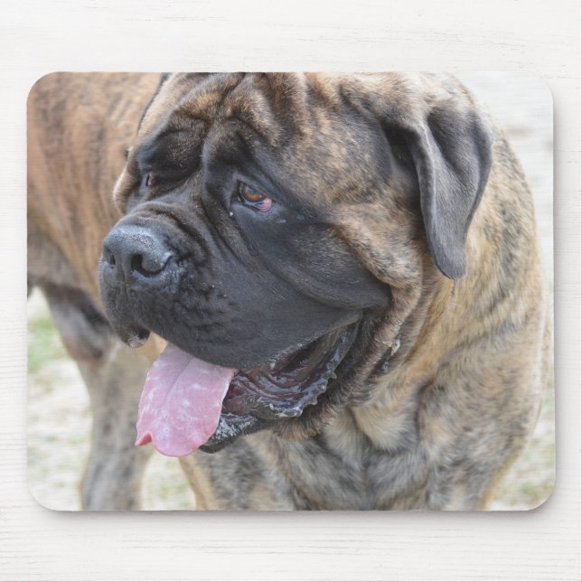 Brindle Mastiff Mousepad (Vorne)