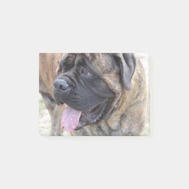 Brindle Mastiff Post-it Klebezettel (Vorderseite)