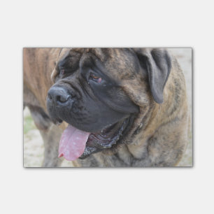 Brindle Mastiff Post-it Klebezettel