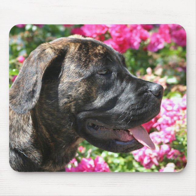 Brindle Mastiff-Welpe mousepad (Vorne)