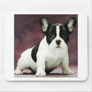 Brindle_pied_french Bulldoggenwelpe Mousepad