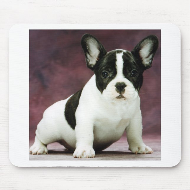 Brindle_pied_french Bulldoggenwelpe Mousepad (Vorne)