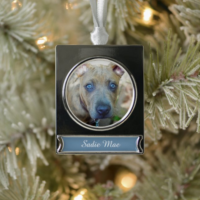 Brindle Pit Bull Puppy von Shirley Taylor Banner-Ornament Silber (Baum)