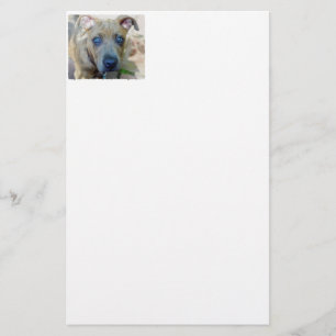 Brindle Pit Bull Puppy von Shirley Taylor Briefpapier