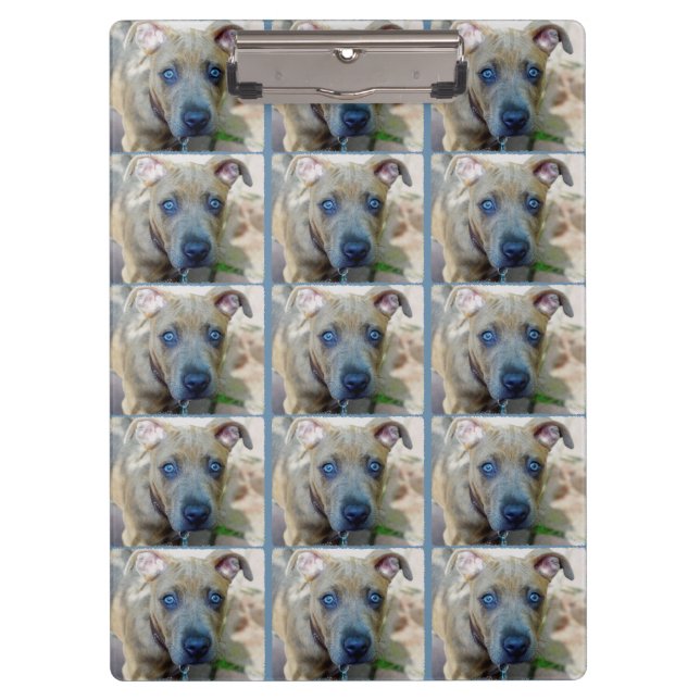 Brindle Pit Bull Puppy von Shirley Taylor Klemmbrett (Vorderseite)