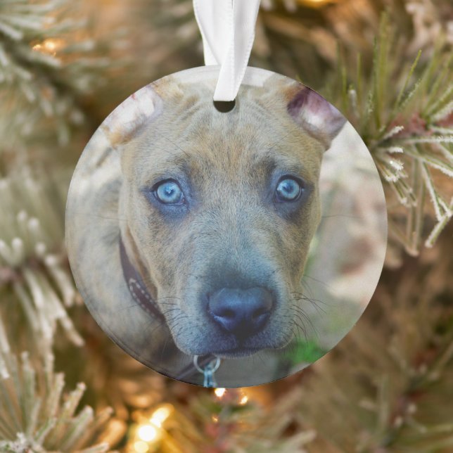 Brindle Pit Bull Puppy von Shirley Taylor Ornament (Baum)