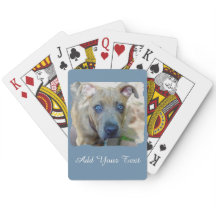 Brindle Pit Bull Puppy von Shirley Taylor