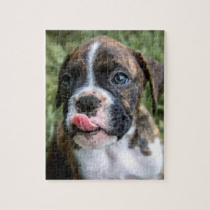 Brindle Puzzle