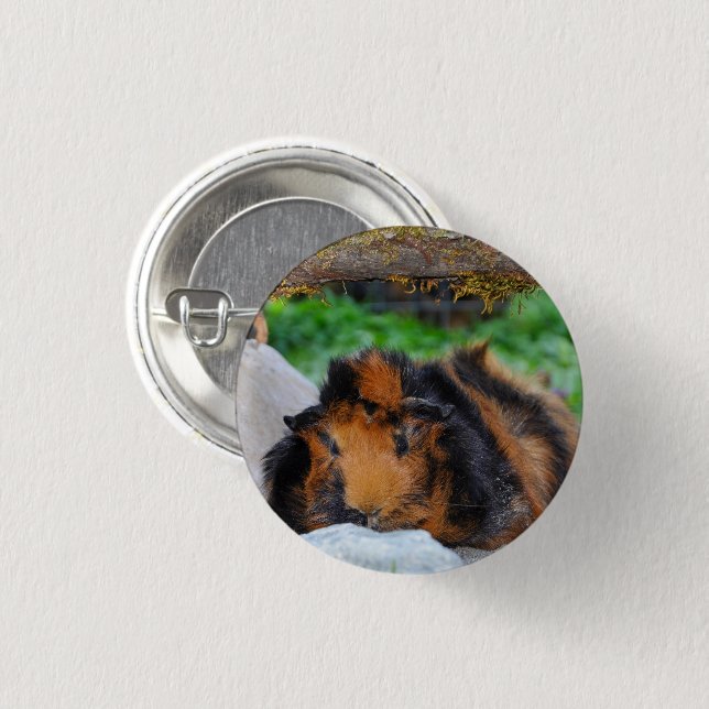 Brindle, Rosette Guinea Schweineunterkunft Außenbe Button (Vorne & Hinten)