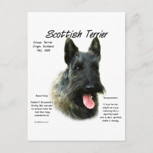 Brindle Scottish Terrier History Postkarte