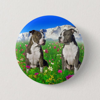Brindle u. blaue Staffordshire- u. Pitbull-Hunde Button