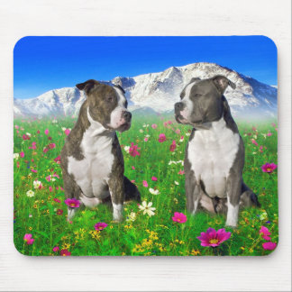 Brindle u. blaue Staffordshire- u. Pitbull-Hunde Mousepad