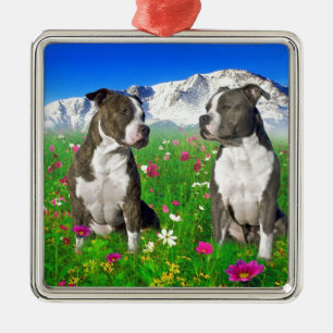 Brindle u. blaue Staffordshire- u. Pitbull-Hunde Ornament Aus Metall