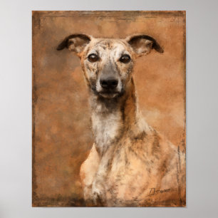Brindle Whippet Hund Poster