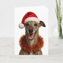 Brindle whippet in a Santa hat Christmas card Karte