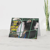 **BRINGEN SIE MICH AUS** WOLL, "GLÜCKLICH GEBURTST