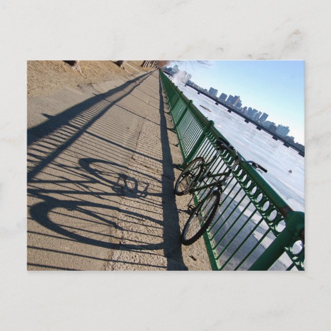 Brisk Shadows Postkarte (Vorderseite)