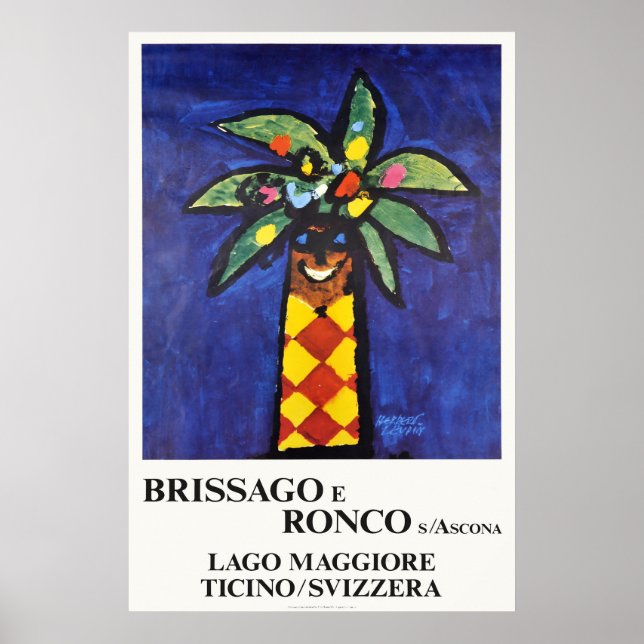 Brissago e Ronco s Ascona, Schweiz, Reisen Poster (Vorne)