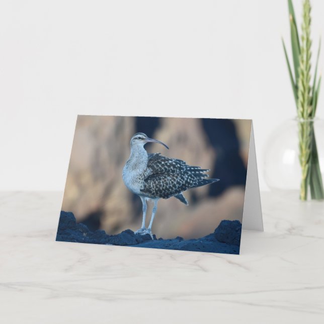 Bristle-Gürtel Karte (Vorderseite)