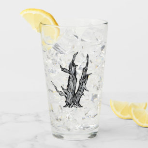 Bristlecone Kiefer Glas