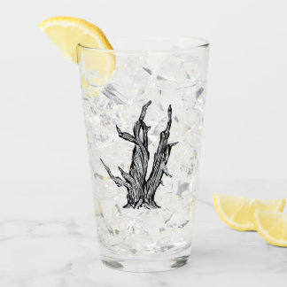 Bristlecone Kiefer Glas