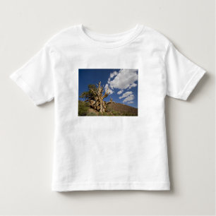 Bristlecone-Kiefer im alten Bristlecone-Wald, Kleinkind T-shirt