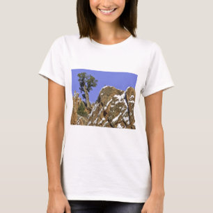 Bristlecone Kiefer T-Shirt