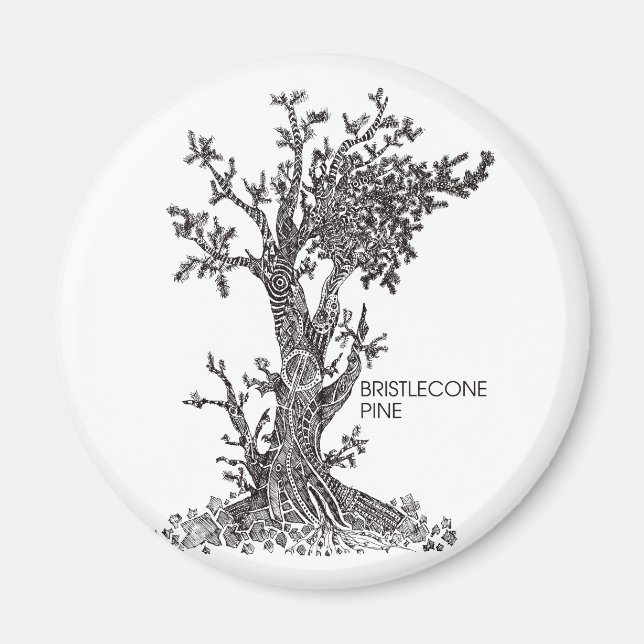 Bristlecone Pine Magnet (Vorne)