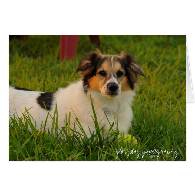 Bristol (Vorderseite (Horizontal))