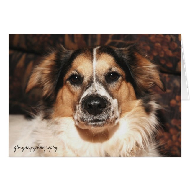 Bristol, Glorydaysphotographie (Vorderseite (Horizontal))