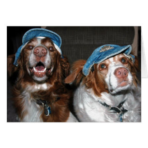 BRITEN IN DEN HÜTEN