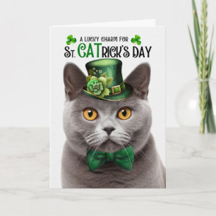Britisch Kurzhaar Katze St CATrick's Day Lucky Cha Feiertagskarte