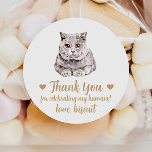 Britisch Kurzhaar Katzen Hochzeits Aufkleber