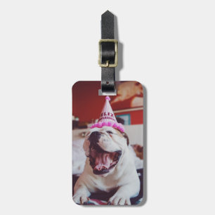 Britische Bulldogge Getty Bild-  Gepäckanhänger